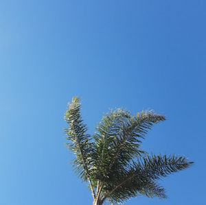 Meet your Posher, Francesca